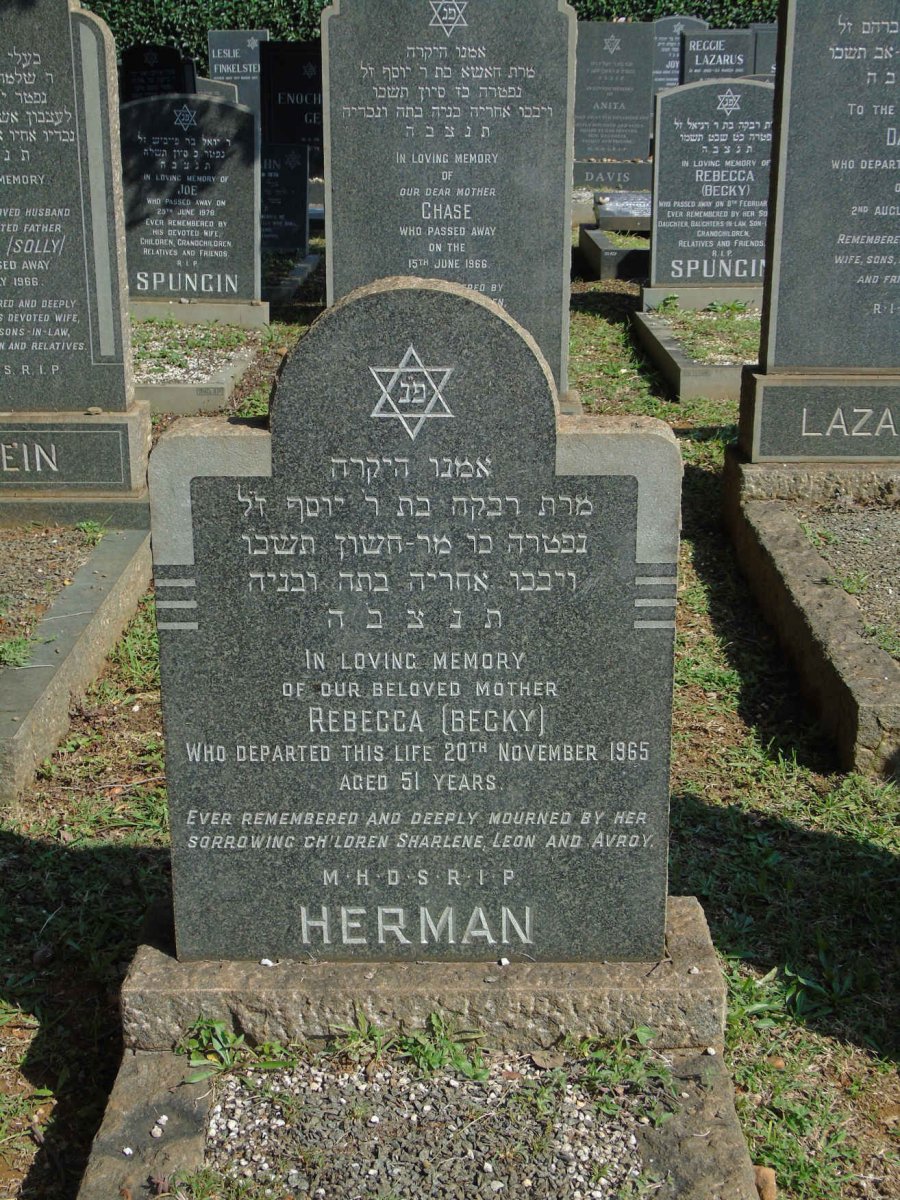 HERMAN Rebecca -1965