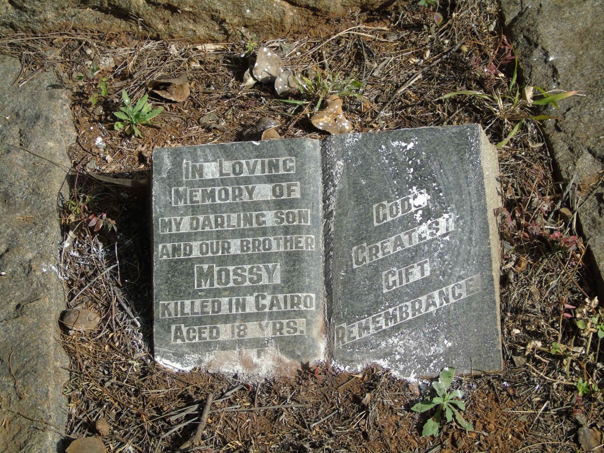 KOSSICK Mossy