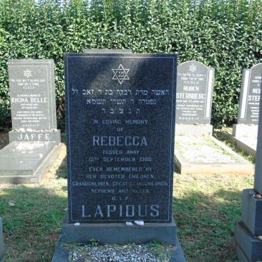 LAPIDUS Rebecca -1980