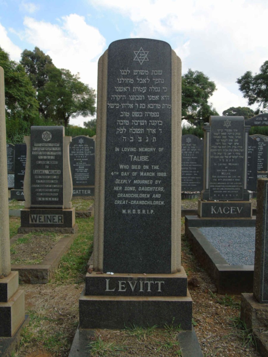 LEVITT Taube -1968