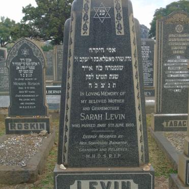 LEVIN Sarah -1959