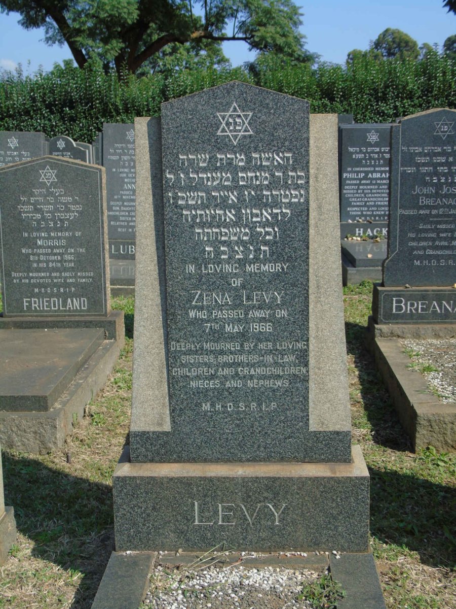 LEVY Zena -1966