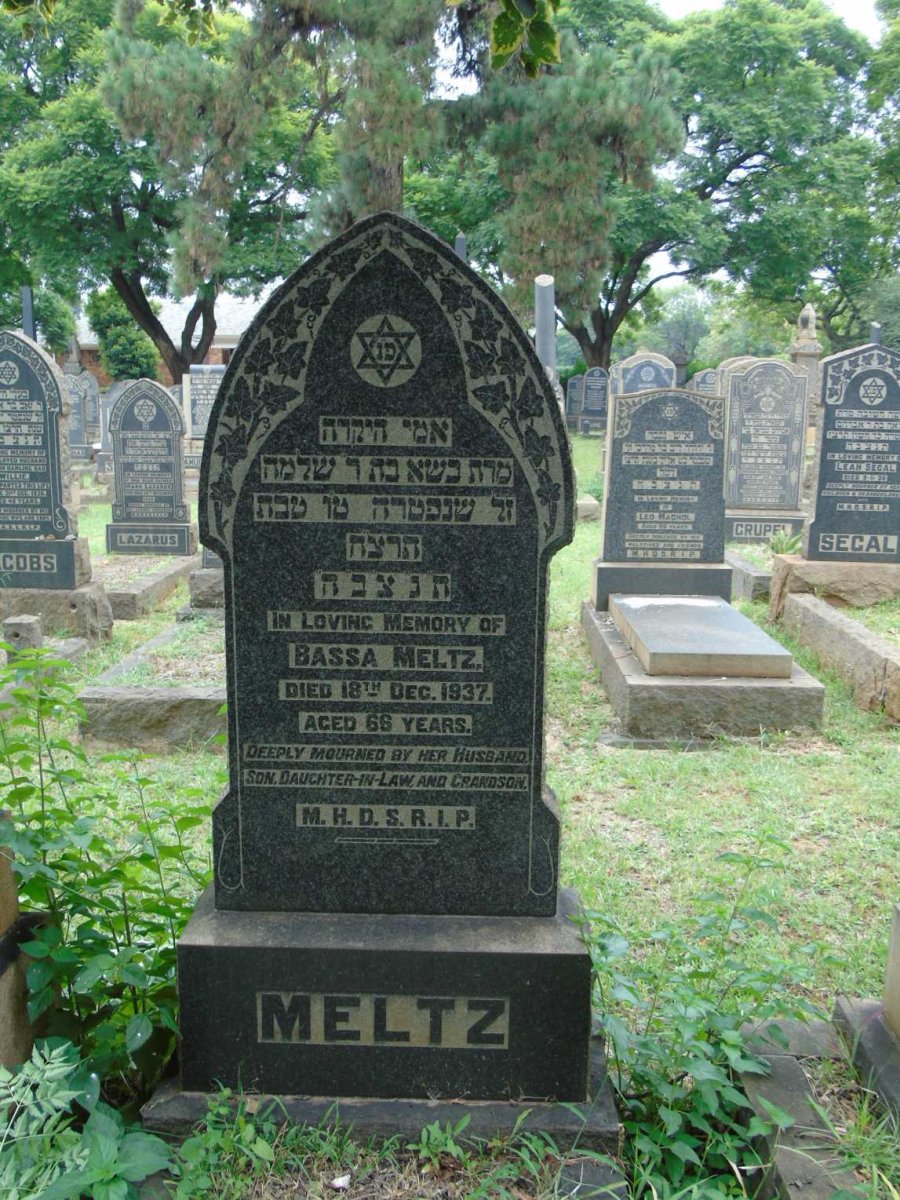 MELTZ Bassa -1937
