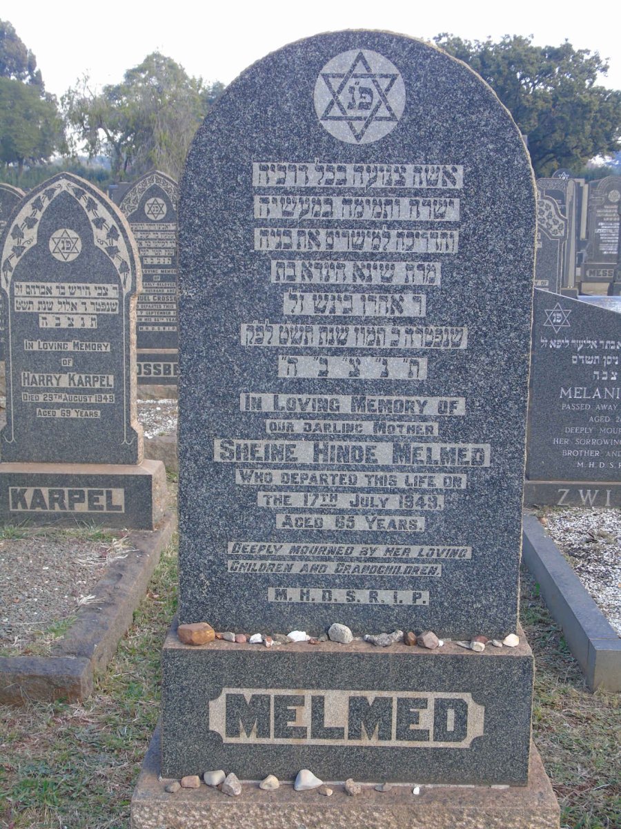 MELMED Sheine Hinde -1949