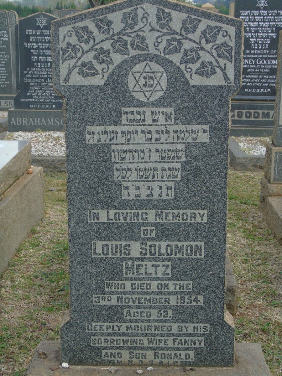 MELTZ Louis Solomon -1954