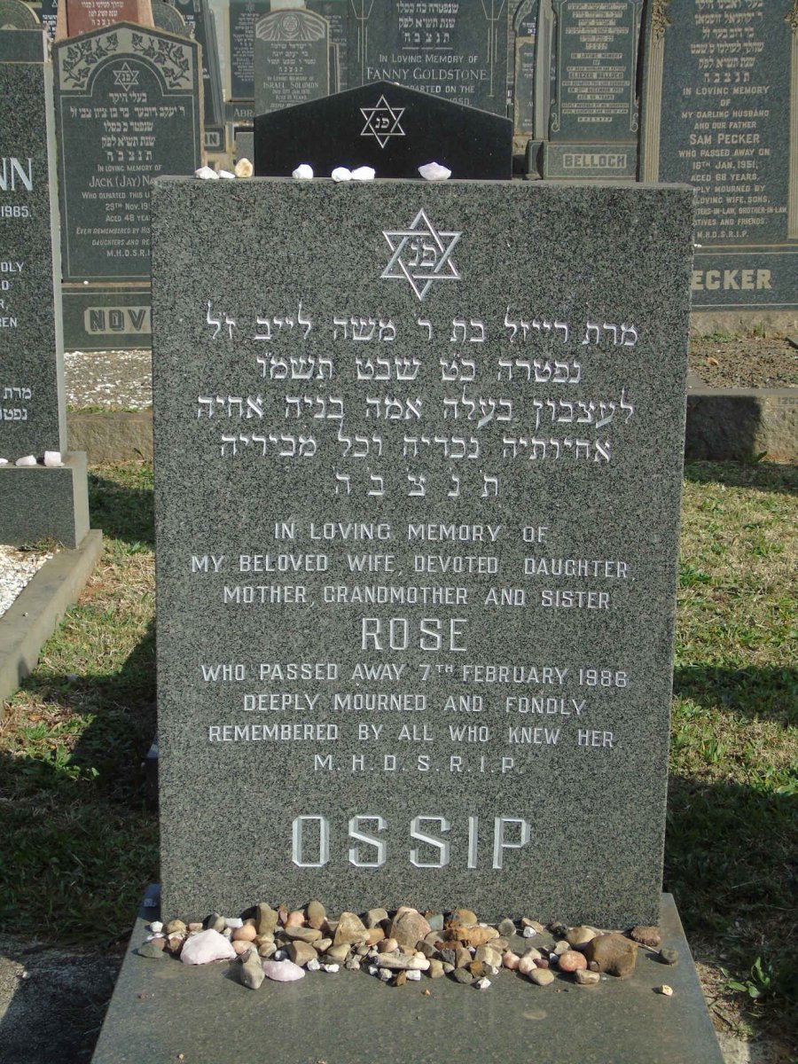 OSSIP Rose -1986