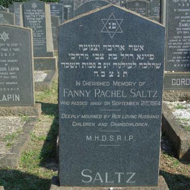 SALTZ Fanny Rachel -1964