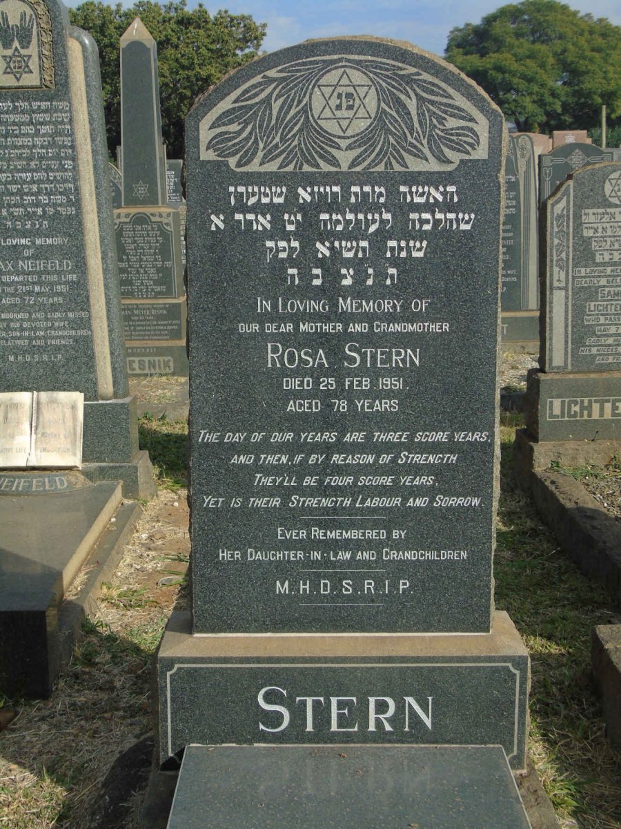 STERN Rosa -1951