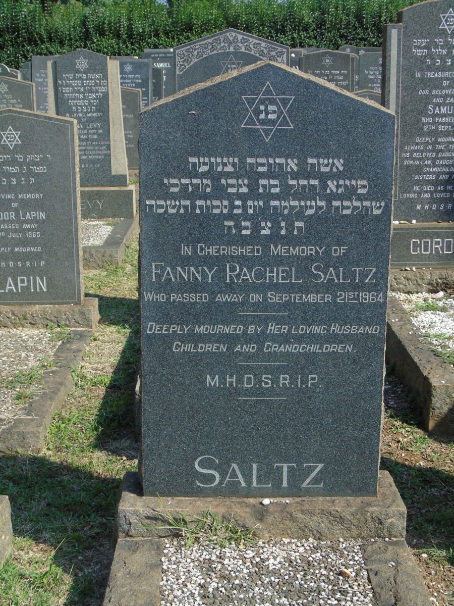 SALTZ Fanny Rachel -1964