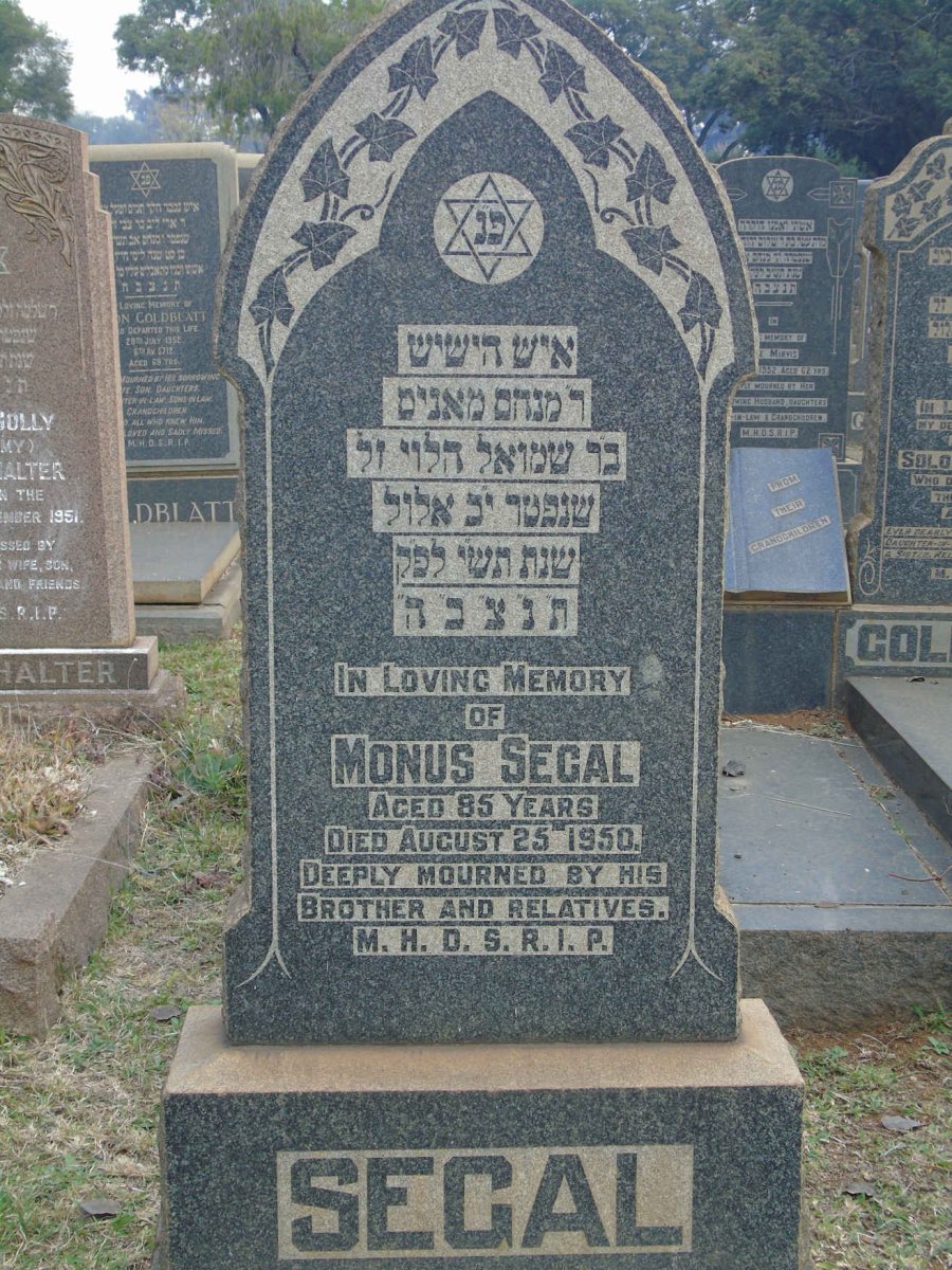SEGAL Monus -1950