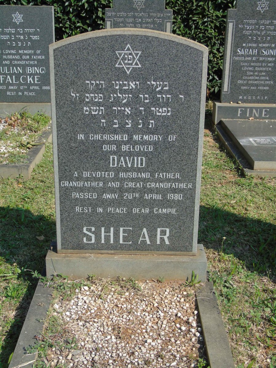 SHEAR David -1980