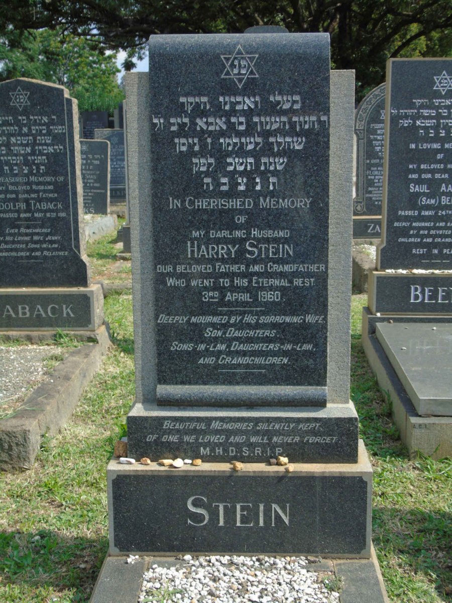 STEIN Harry -1960