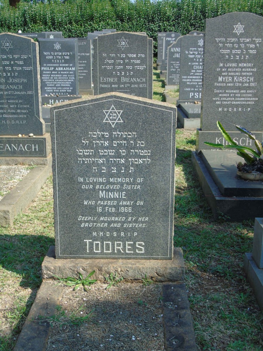 TODRES Minnie -1966