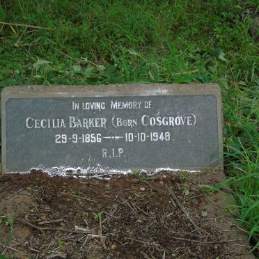 BARKER Cecilia nee COSGROVE 1856-1948
