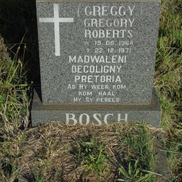 BOSCH Gregory Roberts 1964-1971