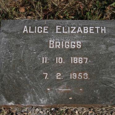 BRIGGS Alice Elizabeth 1867-1953
