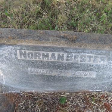 BESTER Norman 