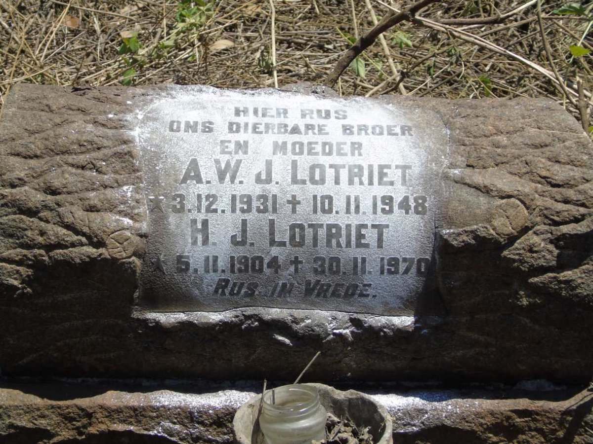 LOTRIET H.J. 1904-1970 :: LOTRIET A.W. J. 1931-1948