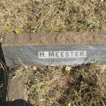 MEESTER H. 