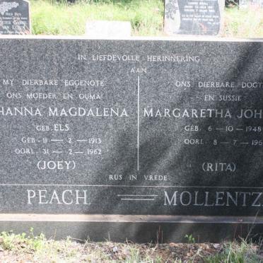 PEACH :: MOLLENTZE