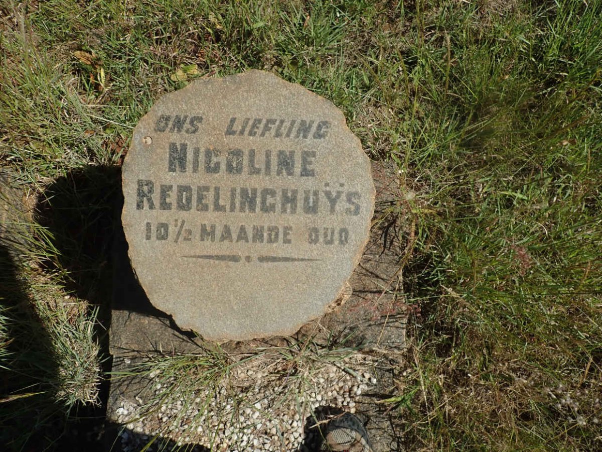 REDELINGHUYS Nicoline