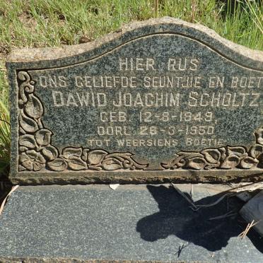 SCHOLTZ Dawid Joachim 1949-1950