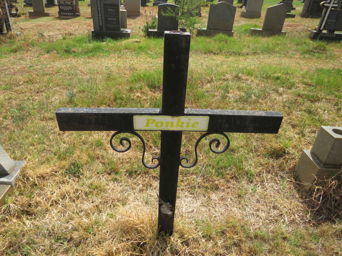 ? Ponkie