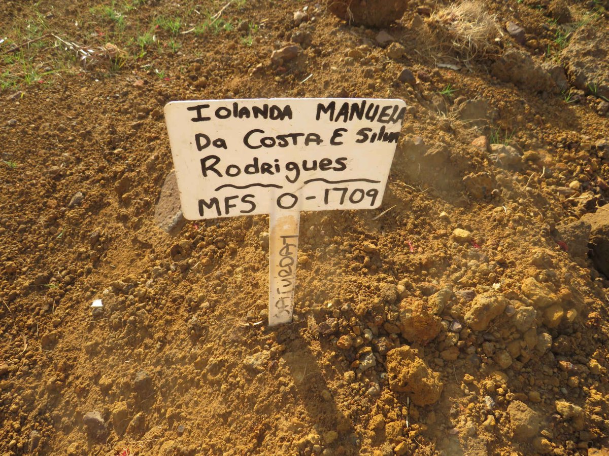 COSTA Olanda Manuela, da nee RODRIGUES