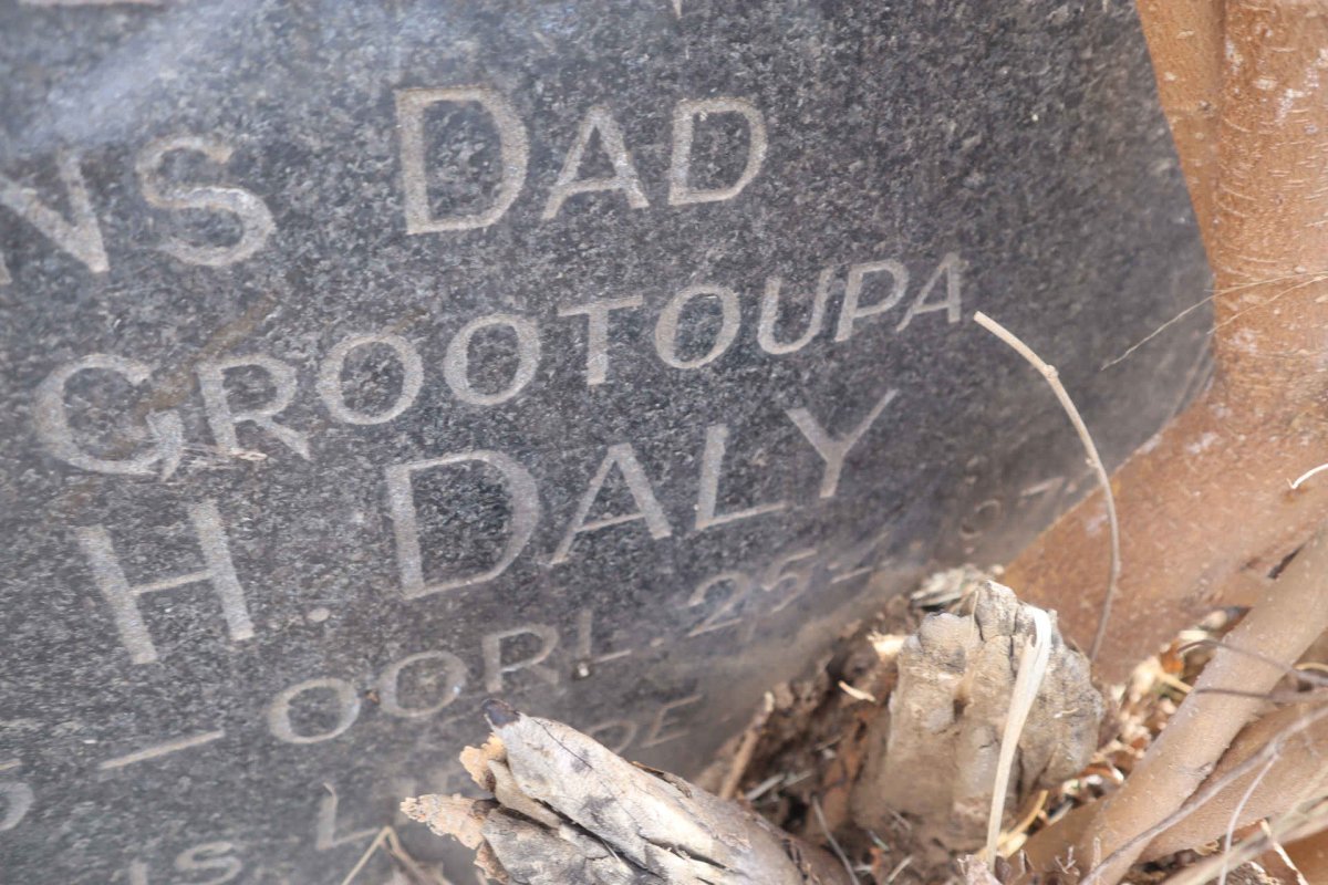 DALY John H. 1885- 197? _2
