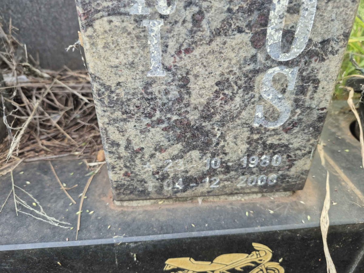 GALANOS Dimitri 1980-2000_2