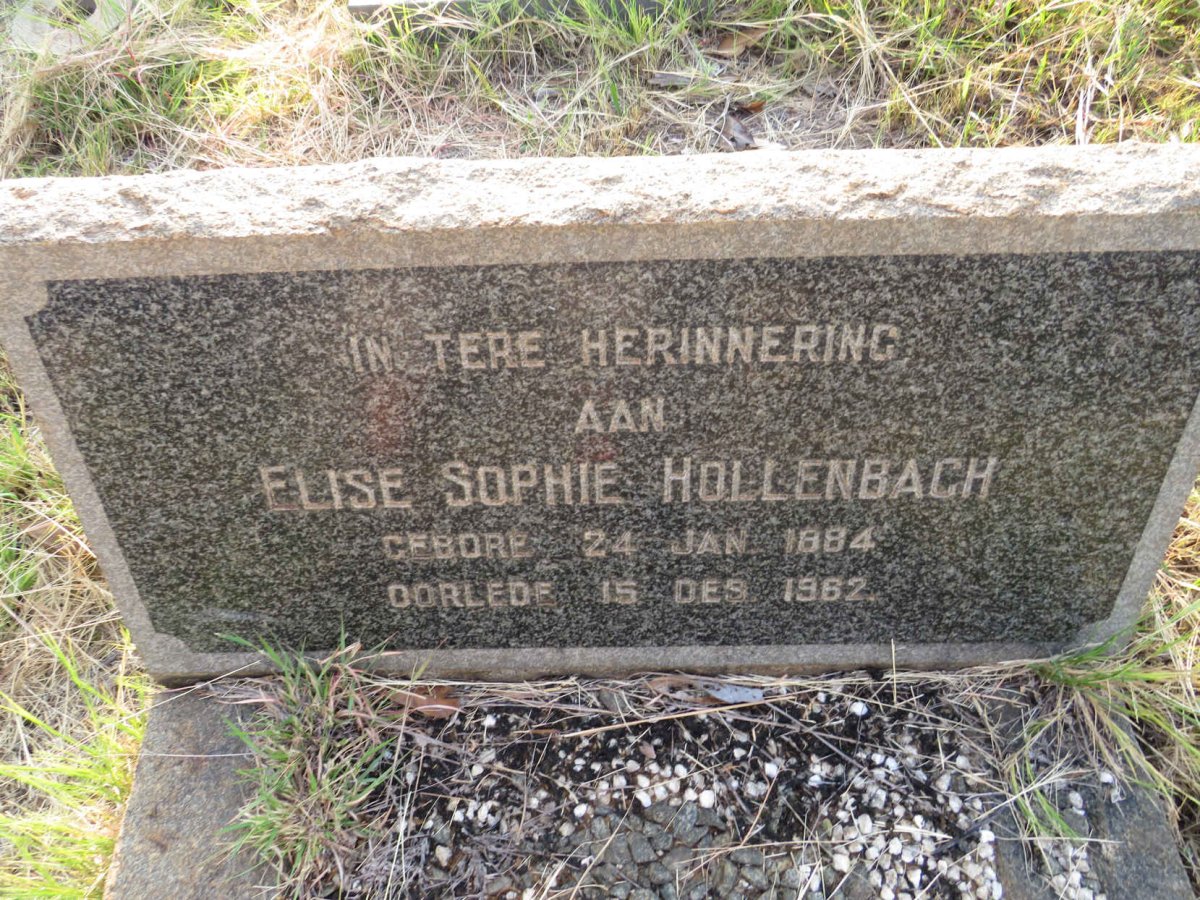 HOLLENBACH Elise Sophie 1884-1962