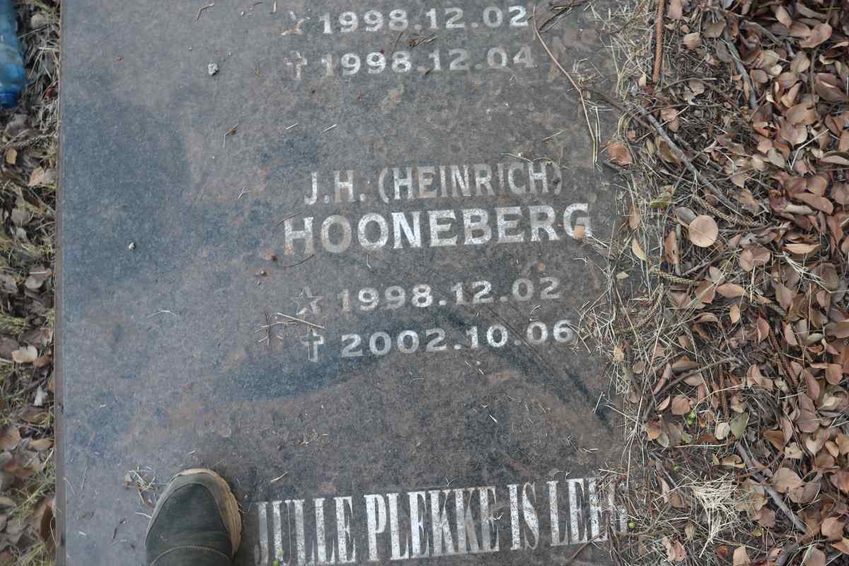 HOONEBERG J.H.O. 1950-1980 :: HOONEBERG J.H.H. 1973-2001 :: HOONEBERG J.A. 1998-1998 :: HOONEBERG J.H. 1998-2002_2
