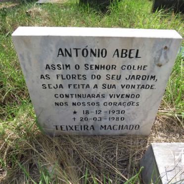 MACHADO Antonio Abel, TEIXEIRA  1930-1980