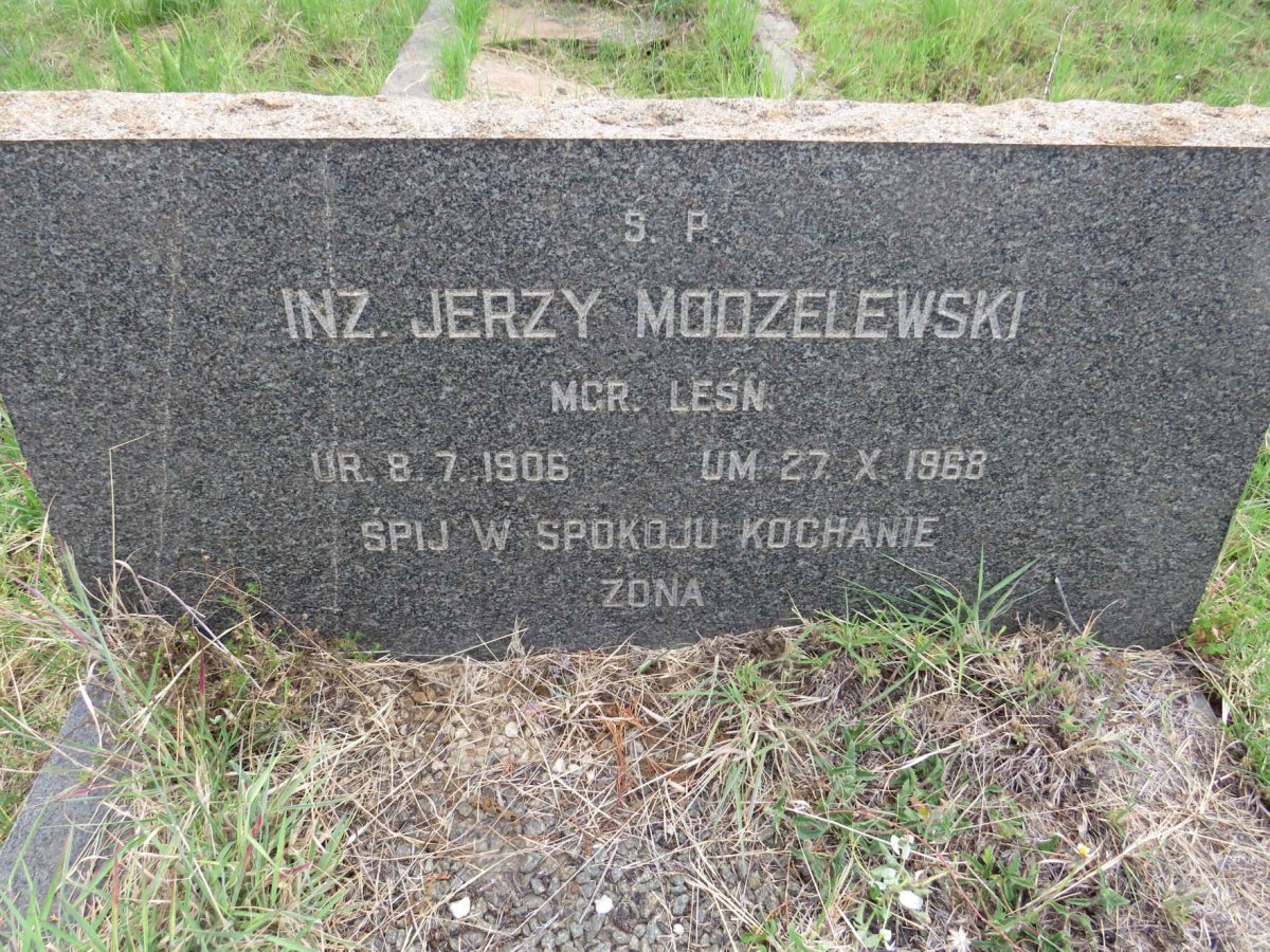 MODZELEWSKI Jerzy 1906-1968