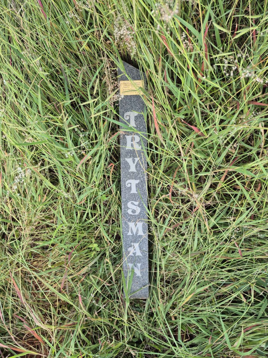 TRYTSMAN Gerrit 1950-2019 :: TRYTSMAN Recardo 1978-2000 _1