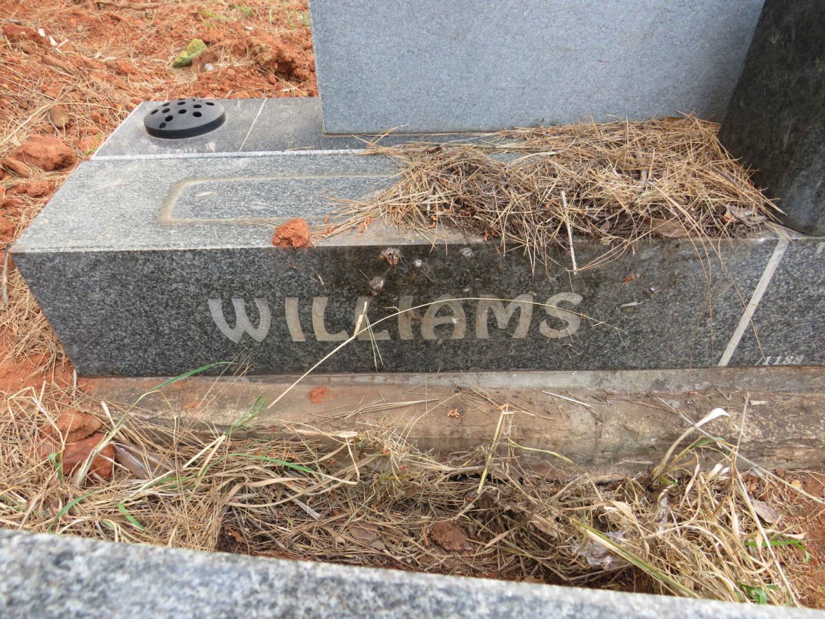 WILLIAMS Basil Louis 1934-2004 _2