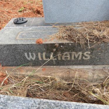 WILLIAMS Basil Louis 1934-2004 _2
