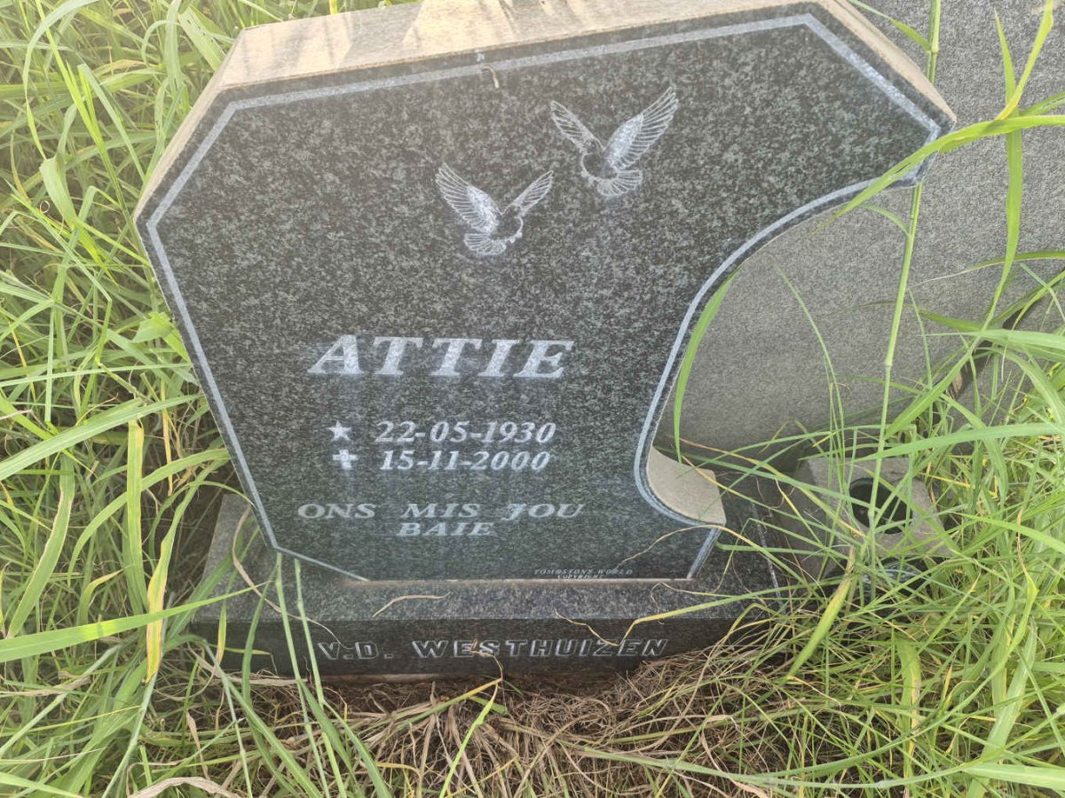 WESTHUIZEN Attie, v.d. 1930-2000