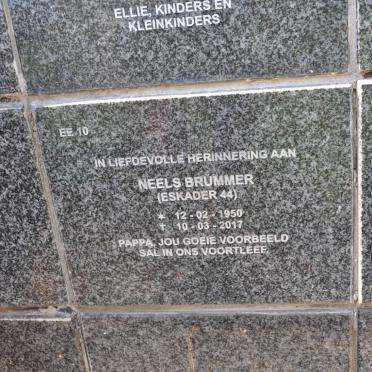 BRUMMER Neels 1950-2017