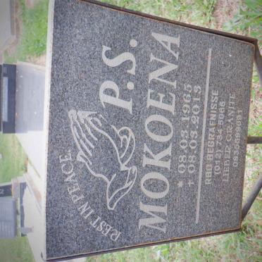 MOKOENA P.S. 1965-2013