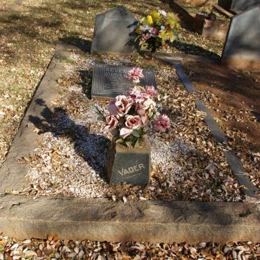 STOLTZ L.P. 1869-1928 :: ZEVENSTER Wessel Lourens 1927- &amp; Ivy Evelyn 1929-1999