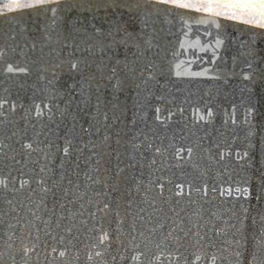 STEENKAMP ?lesina M.B. 1906-1993