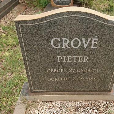 GROVE Pieter 1940-1988