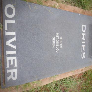 OLIVIER Dries 1963-2010