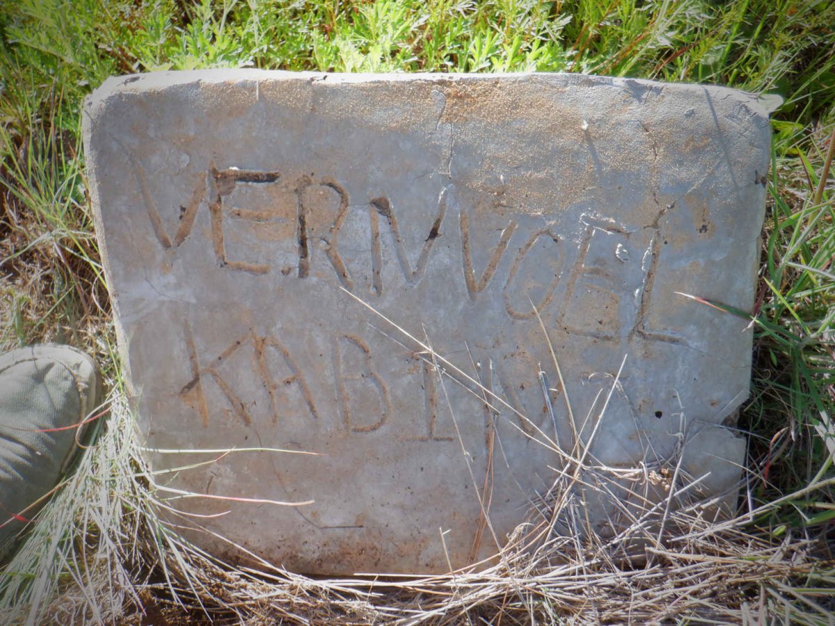 KABIN Vernvoel
