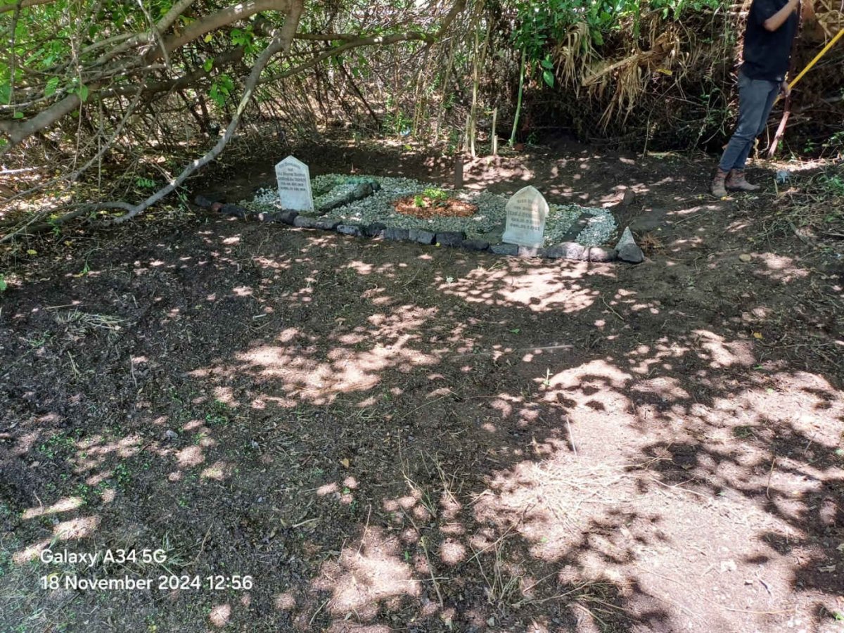 1. Overview graves 