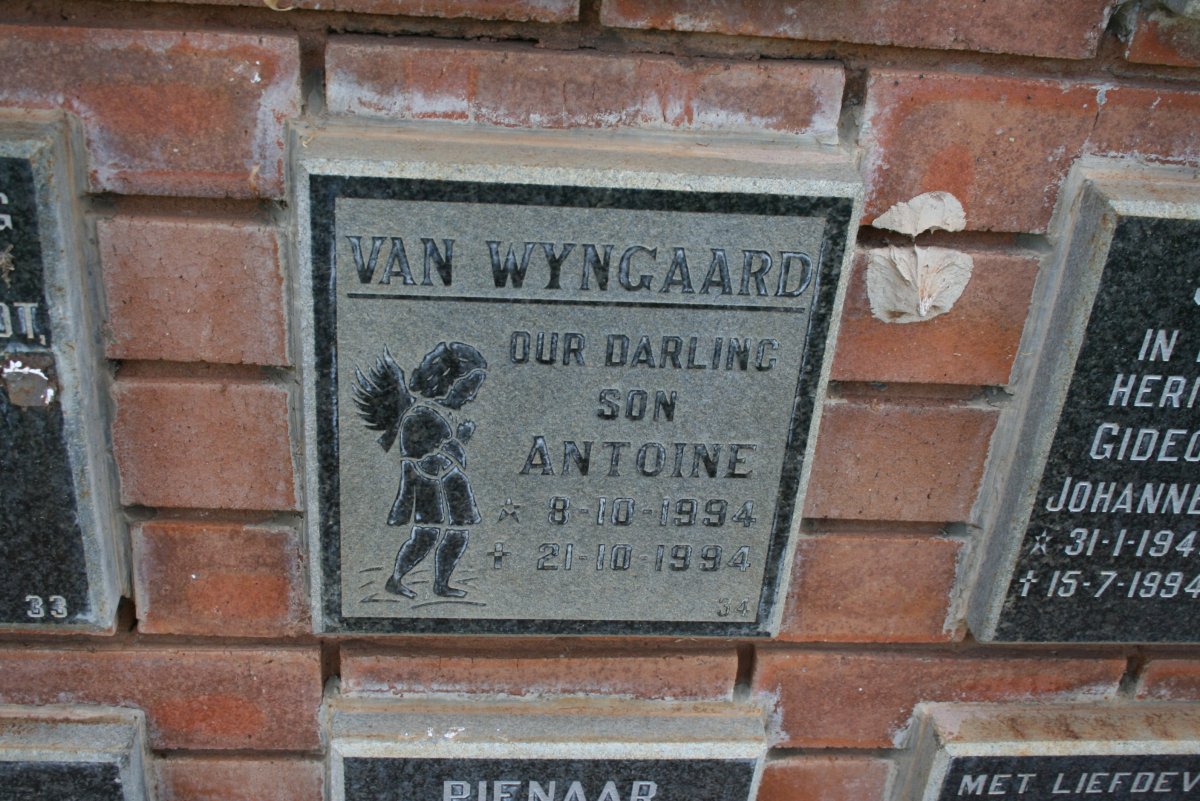 WYNGAARD Antoine, van 1994-1994