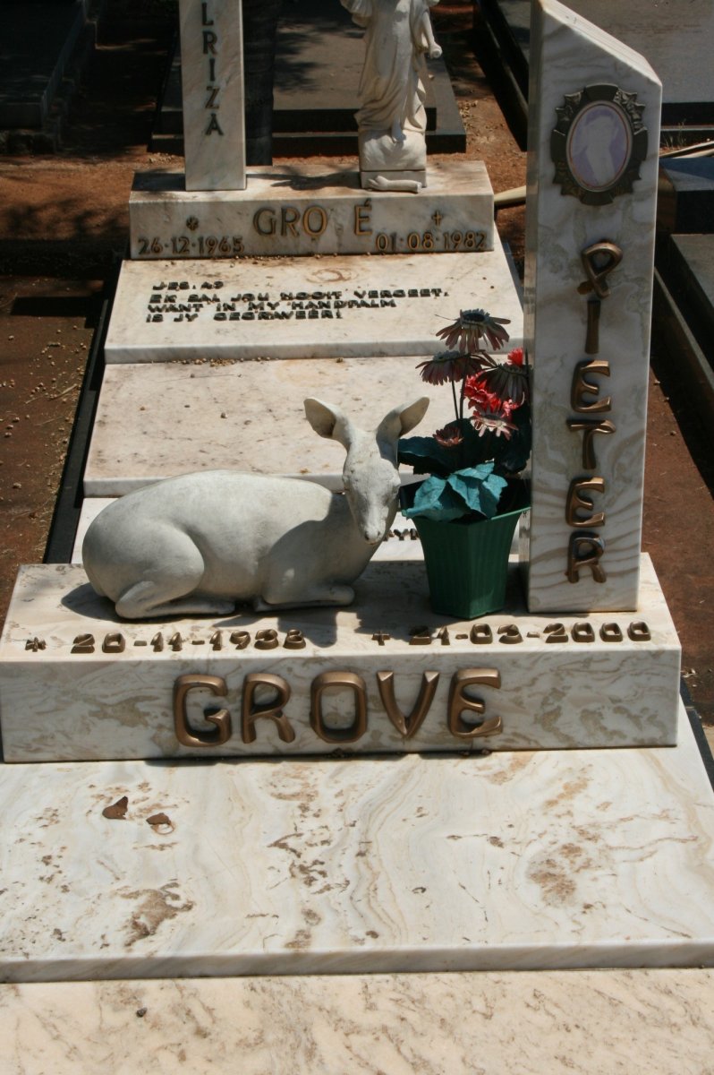 GROVE Pieter 1932-2000