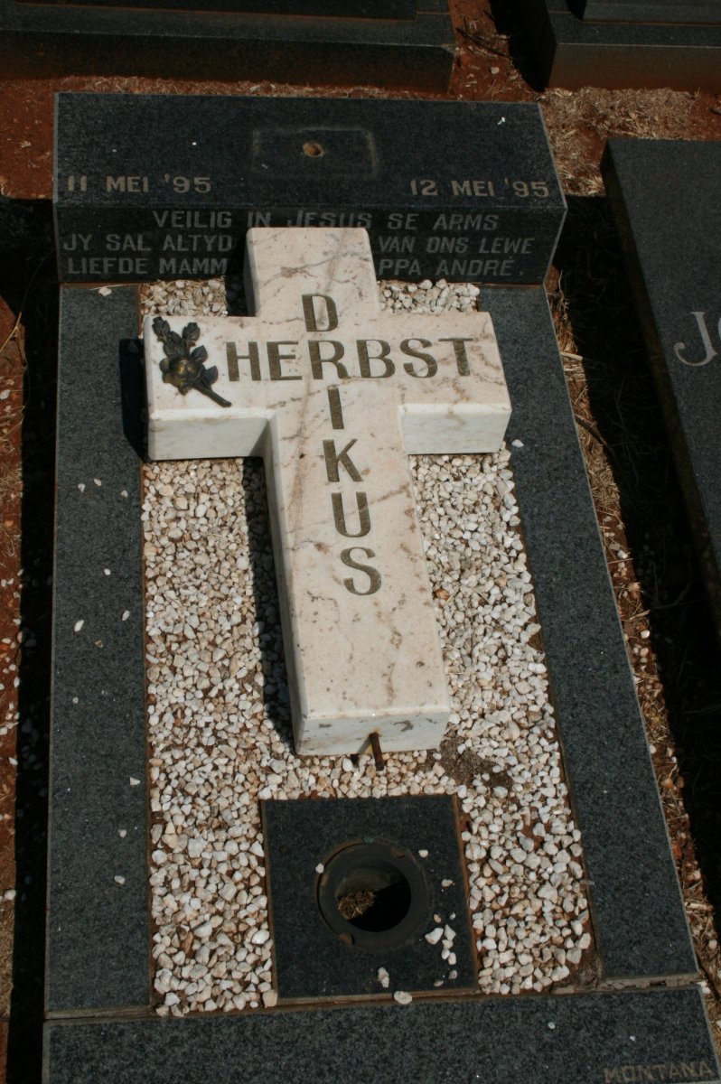 HERBST Drikus 1995-1995