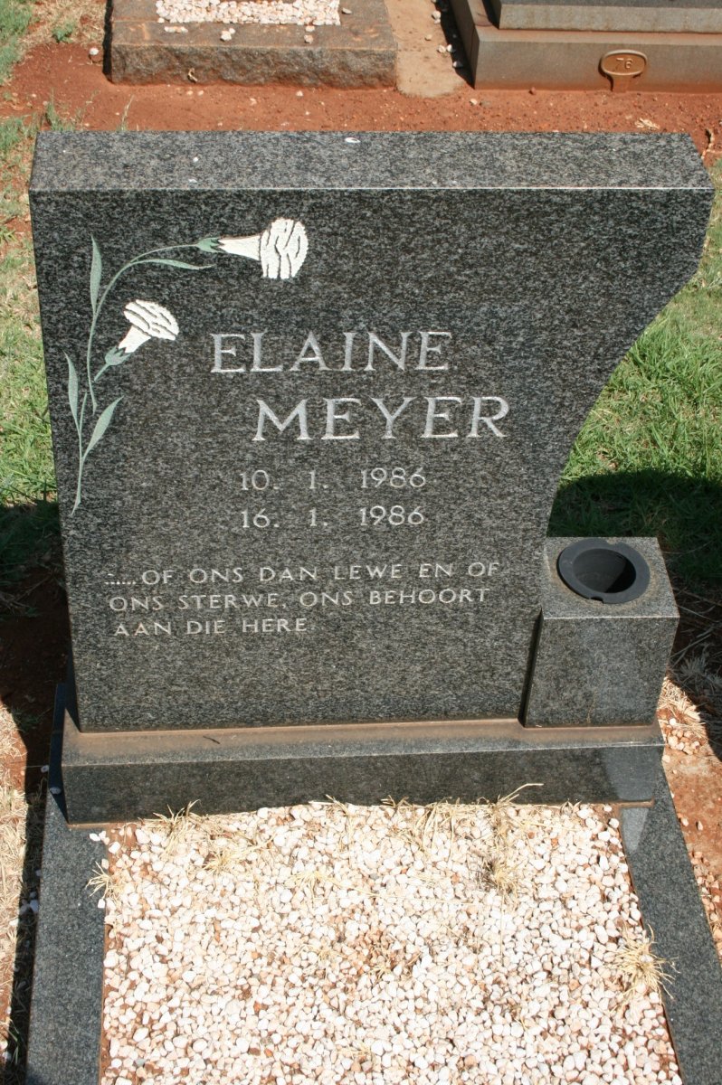 MEYER Elaine 1986-1986